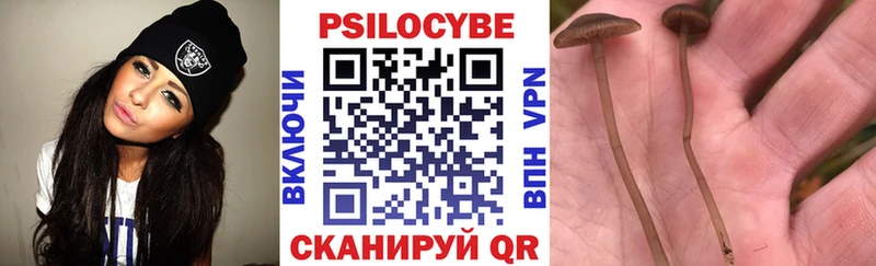 купить наркотик  Облучье  Галлюциногенные грибы Psilocybe 
